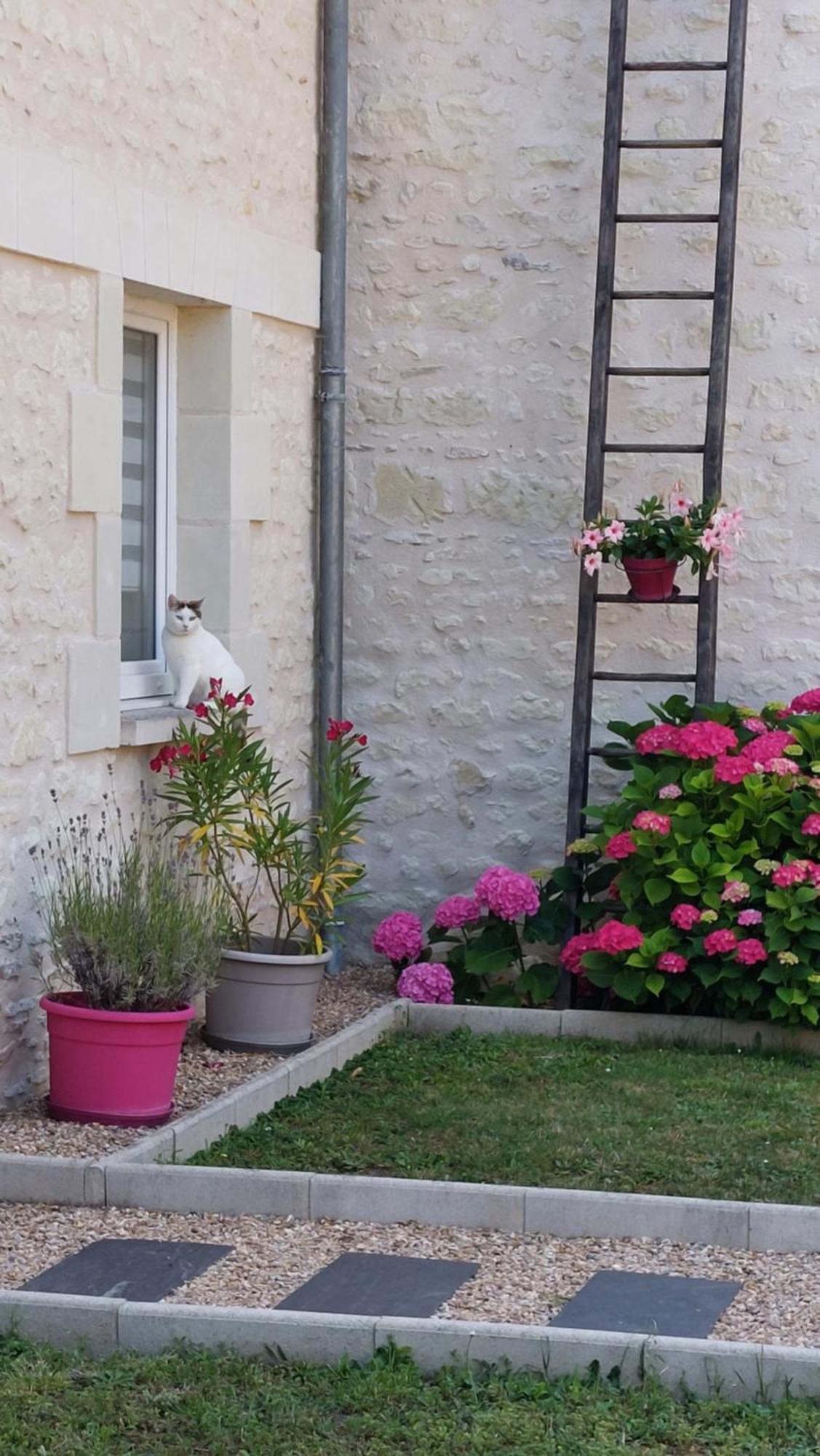 Gite Amanala Poitou Saint-Genest-d'Ambiere Exteriör bild